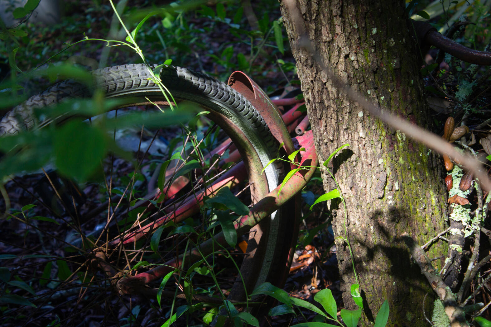 Old Bike. Photography.